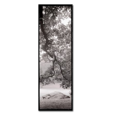 Alan Blaustein 'Hampton Field Tree I' Canvas Art,6x19